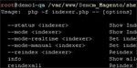 Running Magento indexer from command line (shell)